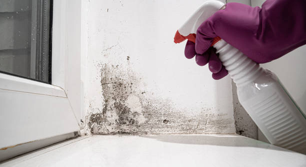 Best Commercial water damage restoration  in USA